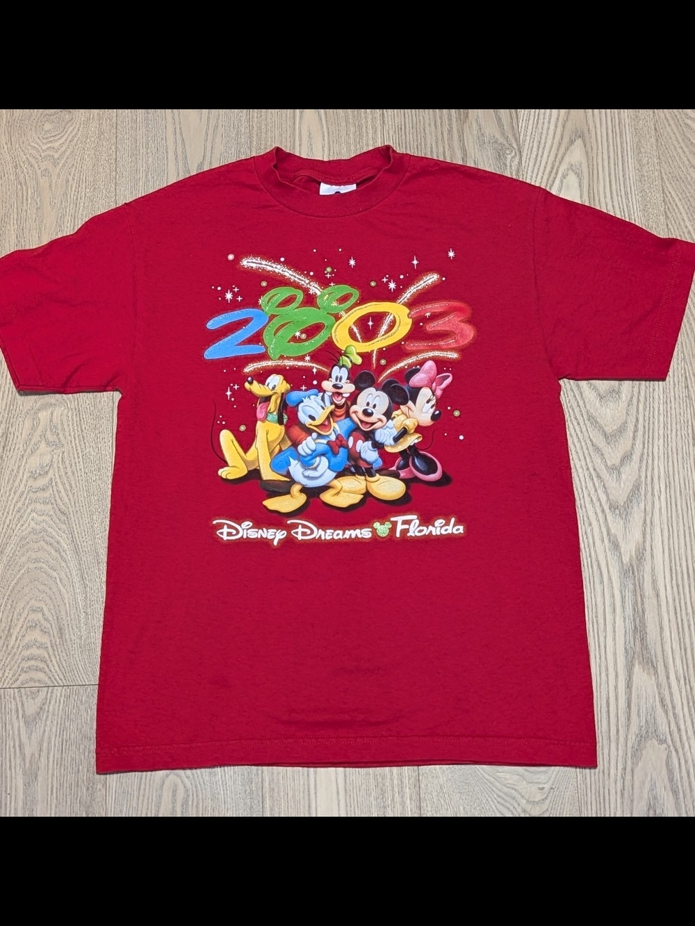 Vintage 2003 Disney Dreams Florida Mickey Minnie Donald Goofy Pluto Graphic T-Sh